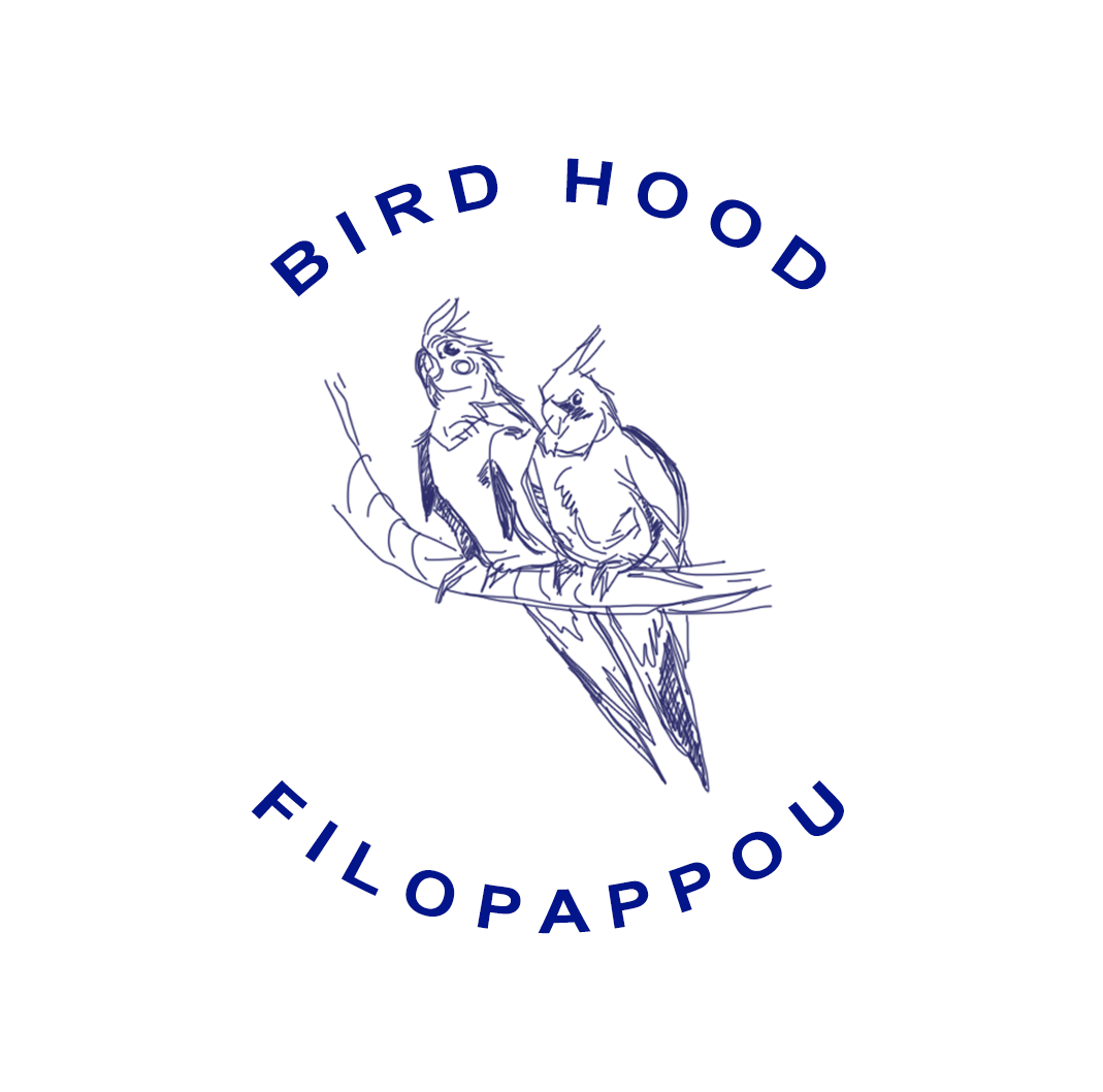 Bird Hood Filopappou